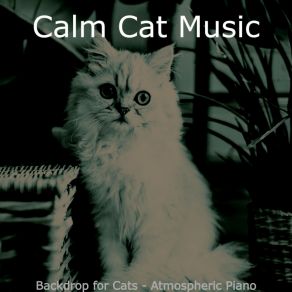 Download track Fiery Relaxing Your Cat Calm Cat Music