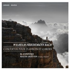 Download track Concerto En La Mineur Pour Clavecin Et Cordes, F. 45 - I. 1er Mouvement Johann Sebastian Bach