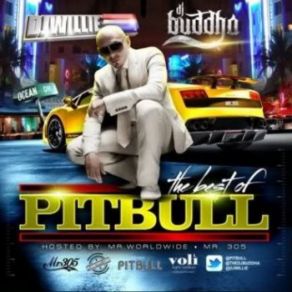 Download track Hotel Room Service Pitbull