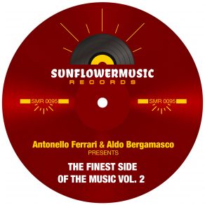 Download track The Player (Ferrari & Bergamasco Club Mix) Antonello Ferrari, Aldo BergamascoFerrari