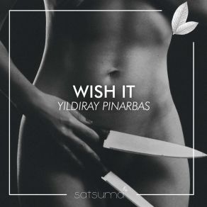 Download track Wish It (Radio Mix) Yildiray Pinarbas