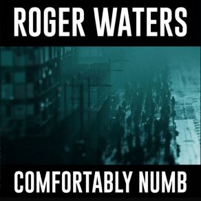 Download track Comfortably Numb Roger Waters