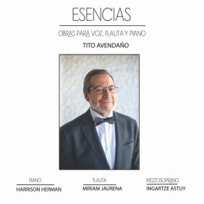 Download track Pinceladas Románticas, Op. 1: IV. Meditaciones En El Ocaso Harrison Herman