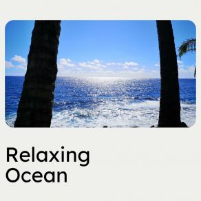 Download track Ocean Pat Relaxing Ocean Sounds