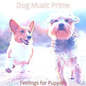 Download track Successful Resting Dogs Dog Music Prime