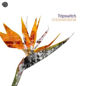 Download track Unconventional (Nick Brennan Remix) Tripswitch