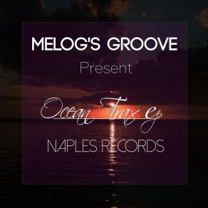 Download track Your Love (Indie Vocal) Melog's Groove