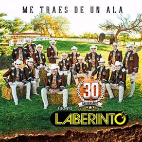 Download track Dale Biberon Grupo Laberinto