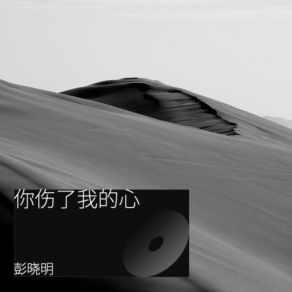 Download track 你伤了我的心 (伴奏) 彭晓明