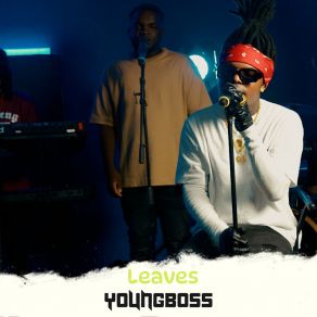 Download track Drama (Live) Youngboss