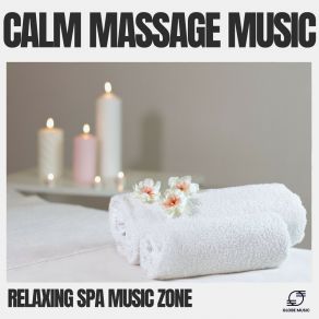 Download track Calm Reflections Relaxing Spa Music Zone