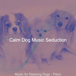 Download track Stylish Ambience For Walking Doggies Calm Dog Music Seduction