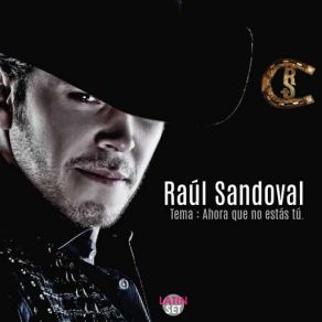 Download track Ahora Que No Estas Tu Raul Sandoval