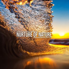 Download track Swooshing Waves Nurture Of Nature