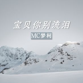 Download track 宝贝你别流泪 Mc梦柯