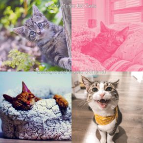 Download track Relaxing (Training Cats) Calm Music For Cats