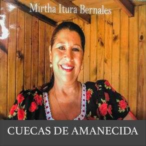 Download track Ingrato Mirtha Iturra