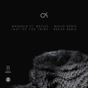 Download track Last Of The Tribe (Break Remix) Camo & Krooked