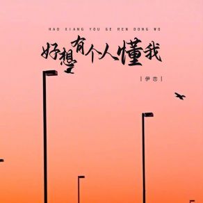 Download track 好想有个人懂我 (Dj版伴奏) 伊恋德朋