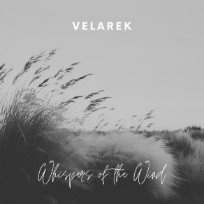 Download track Gentle Murmurs Velarek