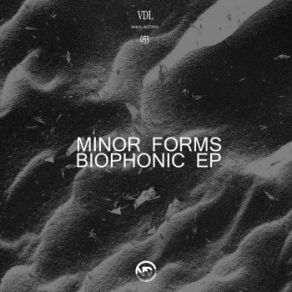 Download track Shadows Minor Forms