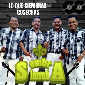 Download track Sones Regionales Sombra Sierreña