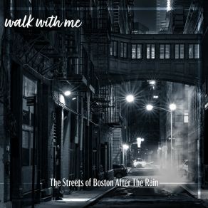 Download track The Streets Of Boston After The Rain, Pt. 13 Daniel Dodik