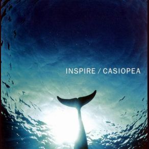 Download track Suggestive One Casiopea