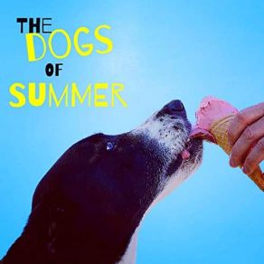 Download track Even For A Night The Dogs Of Summer