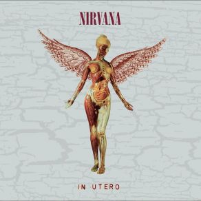 Download track Dumb Nirvana