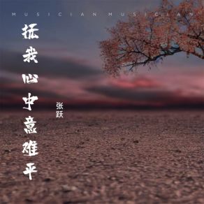 Download track 抚我心中意难平 Yue Zhang