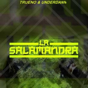 Download track La Salamandra Underdann