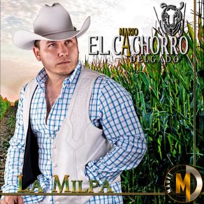 Download track El Ultimo Atardecer Mario El Cachorro Delgado