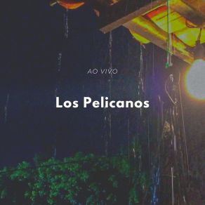 Download track Supermercado (Ao Vivo) Los Pelicanos