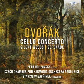 Download track Serenade For Strings In E Major, Op. 22: I. Moderato The Czech Chamber Philharmonic Orchestra Pardubice, Petr Nouzovsky, Stanislav Vavrinek