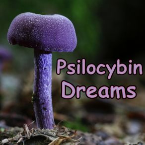 Download track Psilocybin Dreams L. G. DuBoise