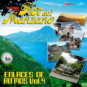 Download track Enlace De Gumercindo Palacios: Migdalia Azucena / Lágrimas De Thelma / Las Tres Saritas Marimba Flor Del Manzano