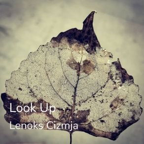 Download track Backwards Lenoks Cizmja