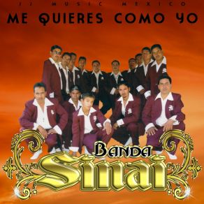 Download track No Puedo Más Banda Sinai