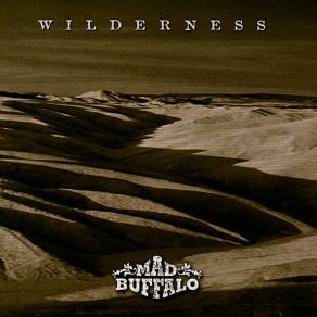 Download track This World Mad BuffaloGary Mallaber, Marty Grebb, BOB GLAUB, James Pennebaker, Randy Riviere