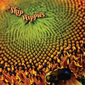 Download track Journey Of Hope The Skip Hippies