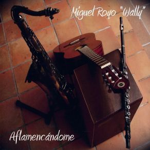 Download track Free Fandango Miguel Royo 'Wally'