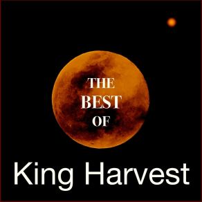 Download track A Little Bit Like Magic (Olcott Version) King Harvest