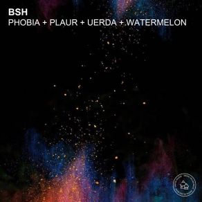 Download track Plaur Bsh