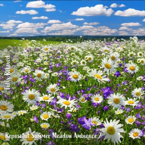 Download track Reposeful Summer Meadow Ambience, Pt. 20 Steve Brassel