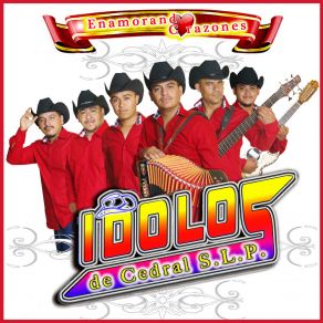 Download track Nunca Voy A Olvidarte Idolos De Cedral S. L. P