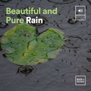 Download track Rain Fidelity Rainfall