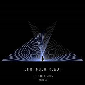 Download track Like It So Much Dark Room Robot