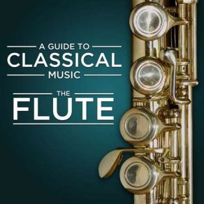 Download track Flute Concerto In D Major, RV 428 Il Gardellino I. Allegro Dan Laurin