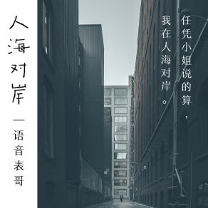 Download track 人海对岸 (伴奏) 语音表哥